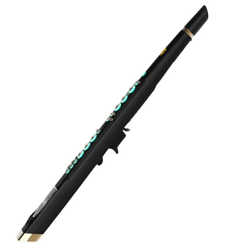 Musical Instrument You Blow - Sassofono elettrico intelligente C20 con campionamento
