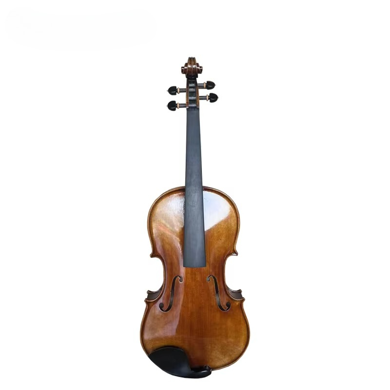 Viola in Stile Antico con Fini - Musical Instrument Viola recensione e prezzo