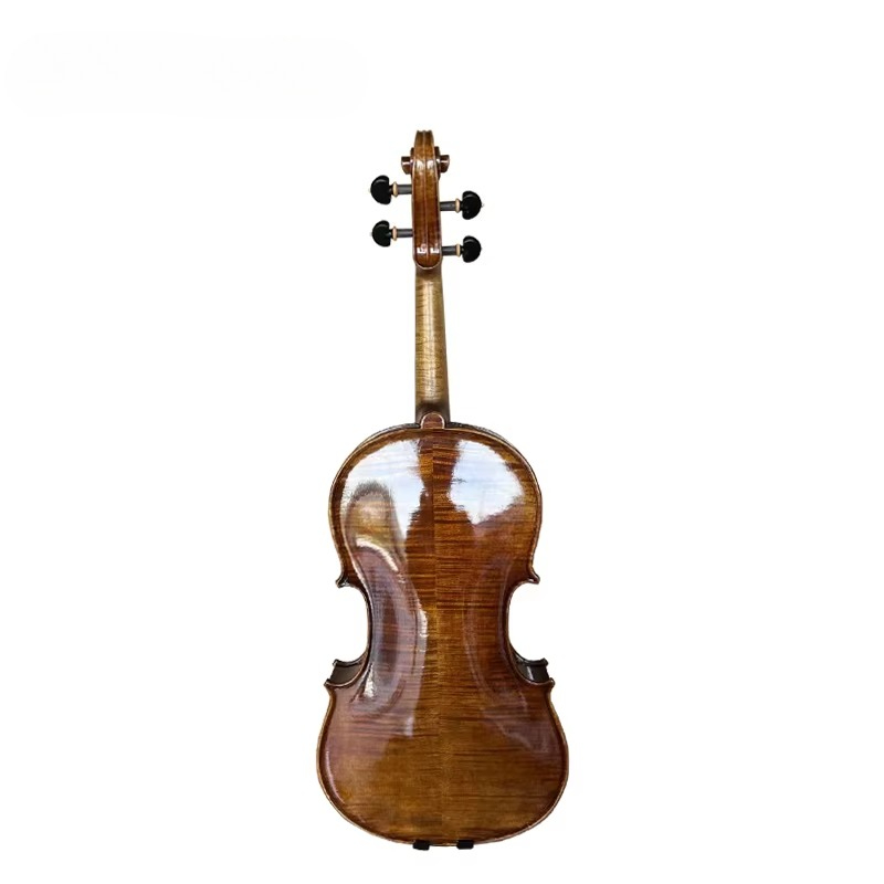 Viola in Stile Antico con Fini - Musical Instrument Viola recensione e prezzo