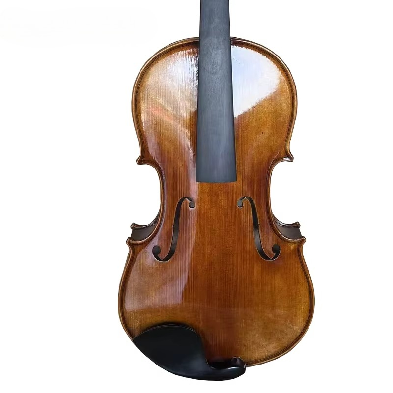 Viola in Stile Antico con Fini - Musical Instrument Viola recensione e prezzo