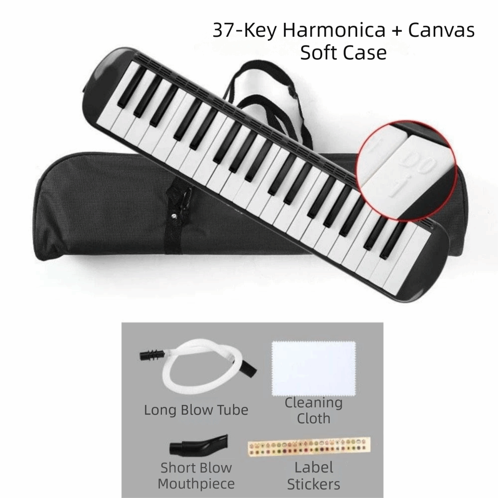 Melodica a 37 tasti, strumento - Musical Instrument Melodica recensione e prezzo