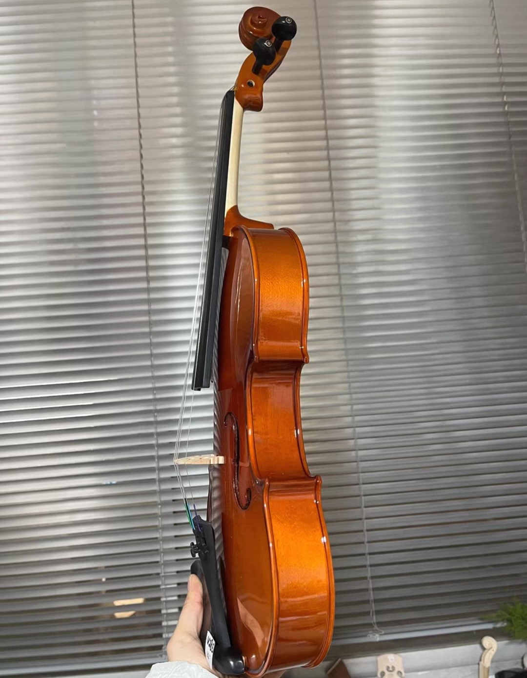 Viola in legno massello 14