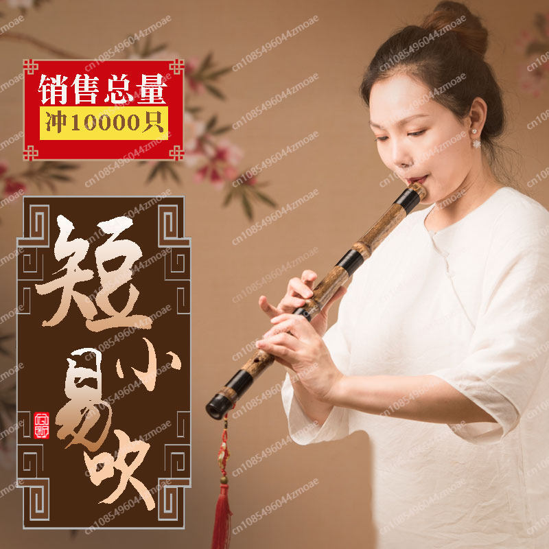 Flauto professionale in bambù  - Musical Instrument You Blow recensione e prezzo