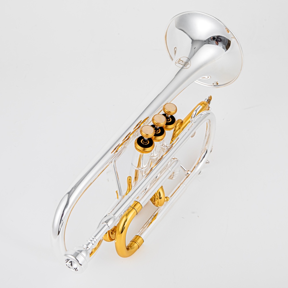 Tromba a pistoni BACH 2026 di  - Musical Instrument Cornet recensione e prezzo