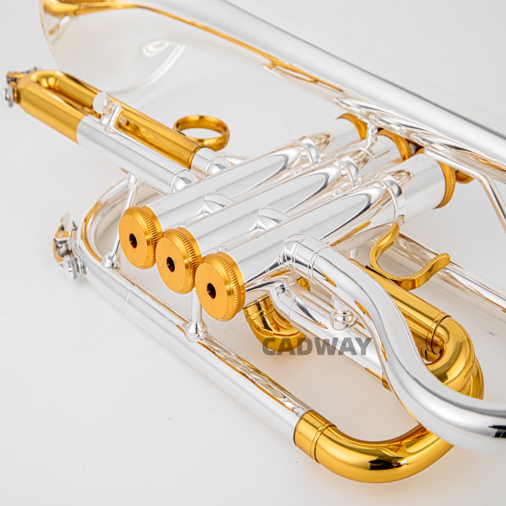 Tromba a pistoni BACH 2026 di  - Musical Instrument Cornet recensione e prezzo
