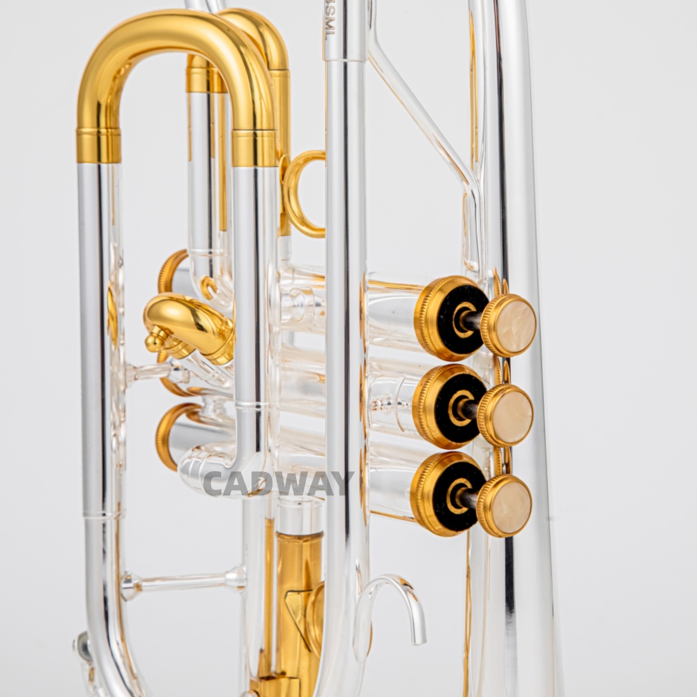 Tromba a pistoni BACH 2026 di  - Musical Instrument Cornet recensione e prezzo