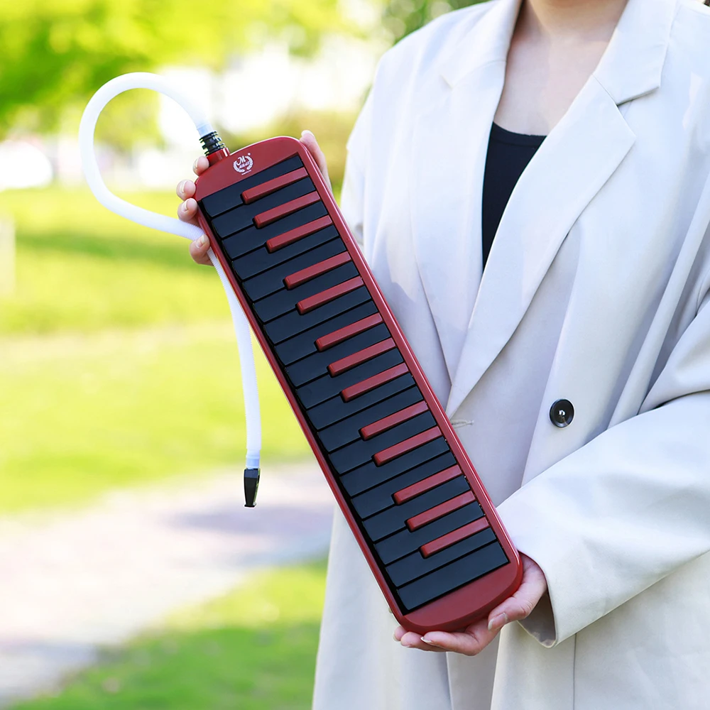 Melodica a 32 tasti, strumento - Musical Instrument Melodica recensione e prezzo