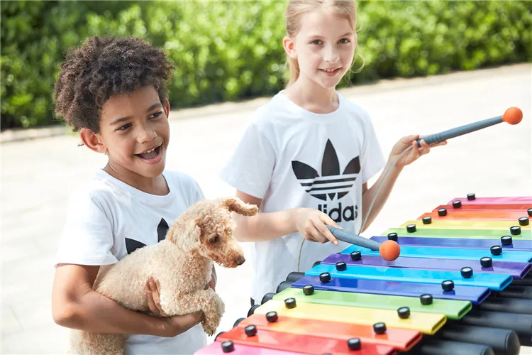 Strumenti Musicali a Percussio - Musical Instrument Park recensione e prezzo