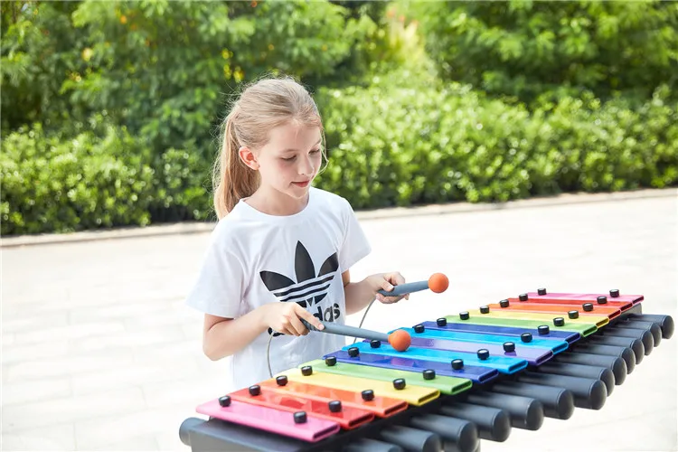 Strumenti Musicali a Percussio - Musical Instrument Park recensione e prezzo