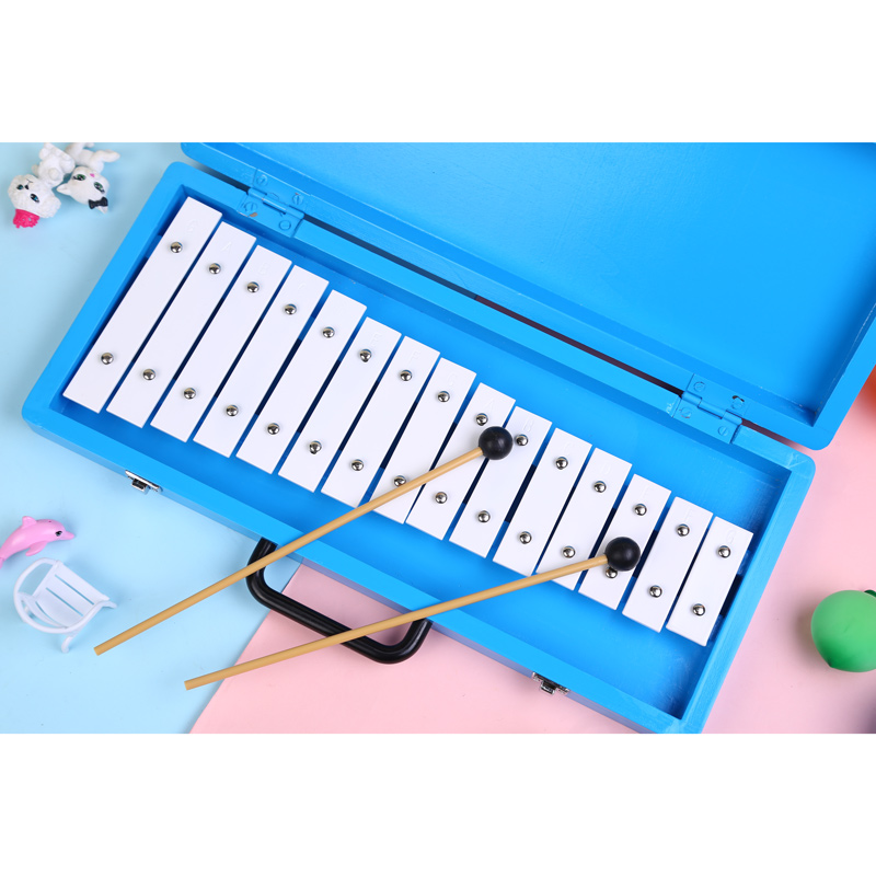 Glockenspiel Xilofono Elenco d - Musical Instrument With Names recensione e prezzo