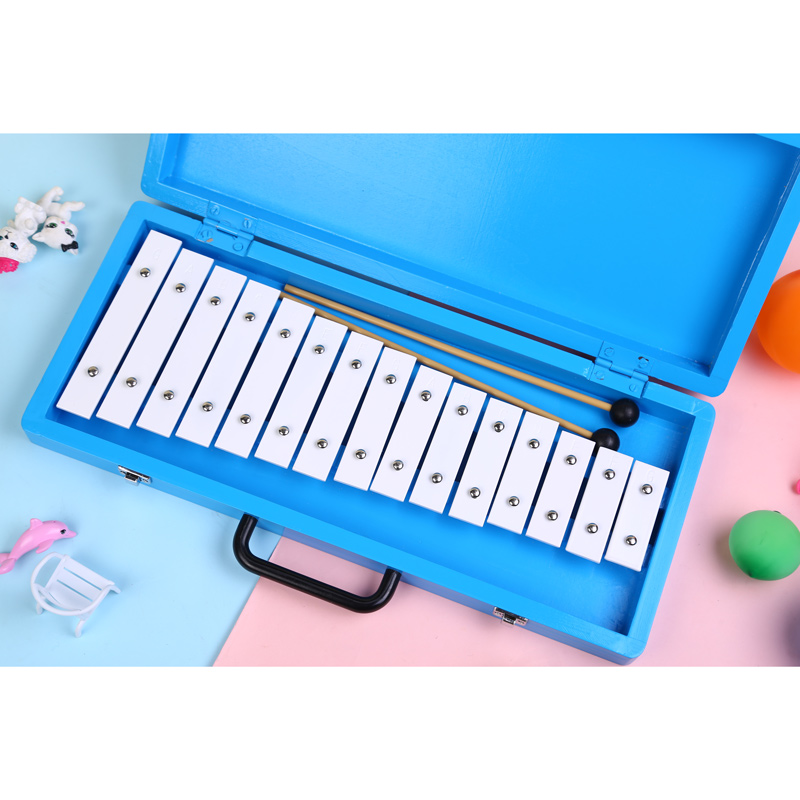 Glockenspiel Xilofono Elenco d - Musical Instrument With Names recensione e prezzo