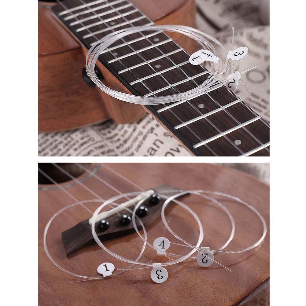 Corde in carbonio per Ukulele  - Musical Instrument Art recensione e prezzo
