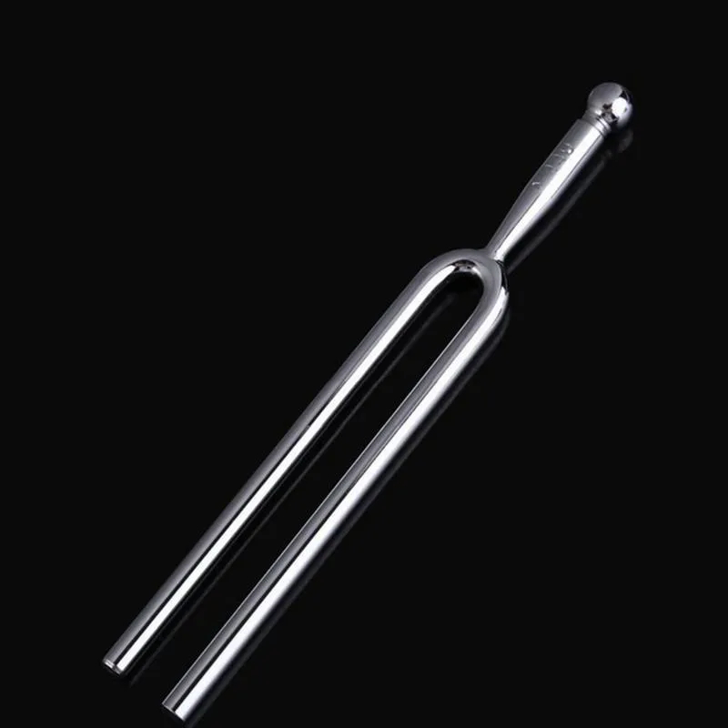 1pc Standard A 440 Hz Diapason - Musical Instrument Viola recensione e prezzo