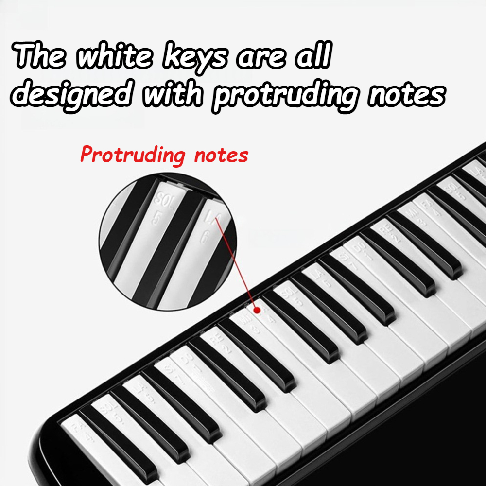 Strumento melodica a 37 tasti  - Musical Instrument Melodica recensione e prezzo