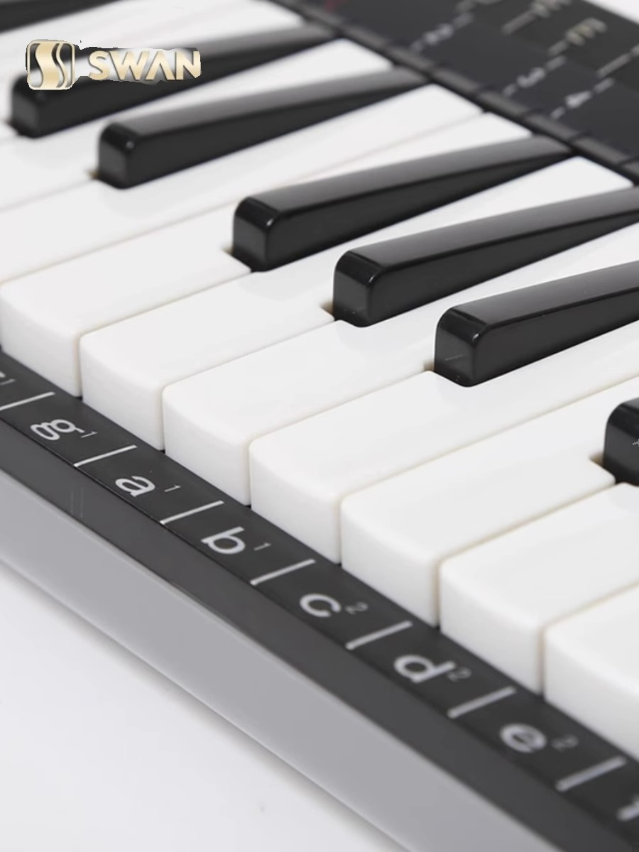 Set di strumenti musicali prof - Musical Instrument Melodica recensione e prezzo